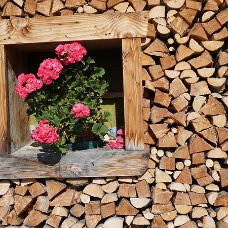 Apartamento Studio Schwarzenauer Alpbach Exterior foto