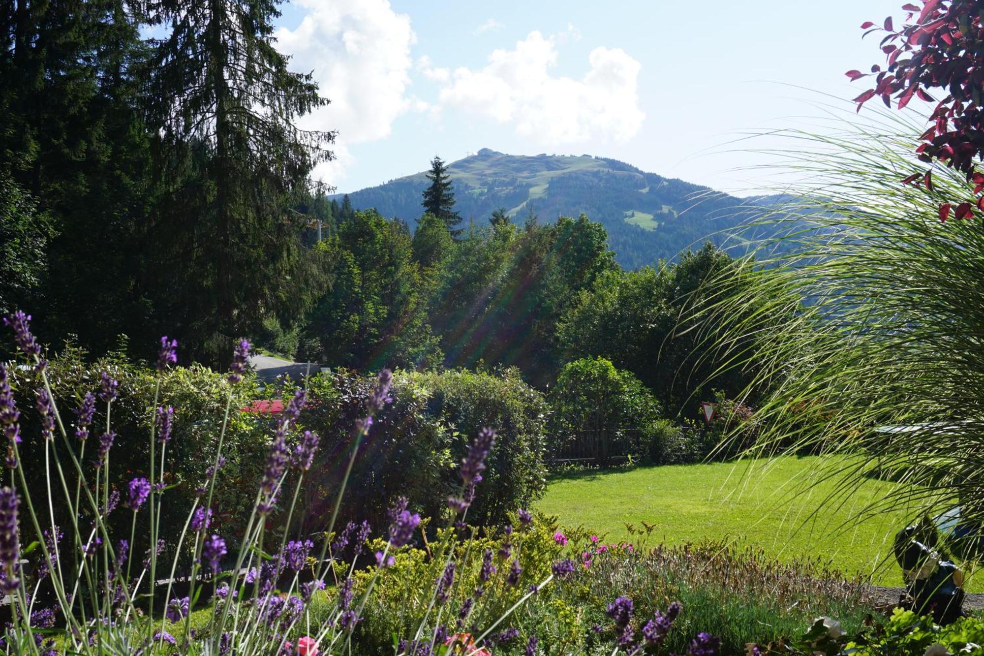 Apartamento Studio Schwarzenauer Alpbach Exterior foto