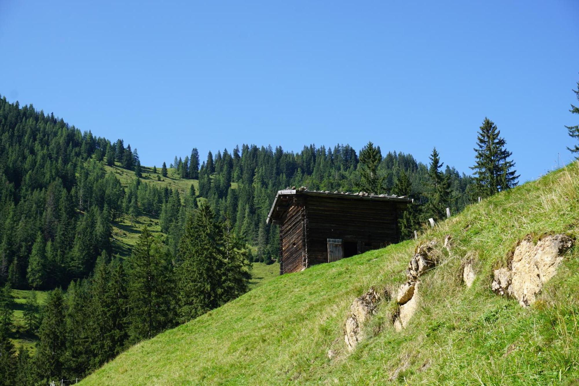 Apartamento Studio Schwarzenauer Alpbach Exterior foto