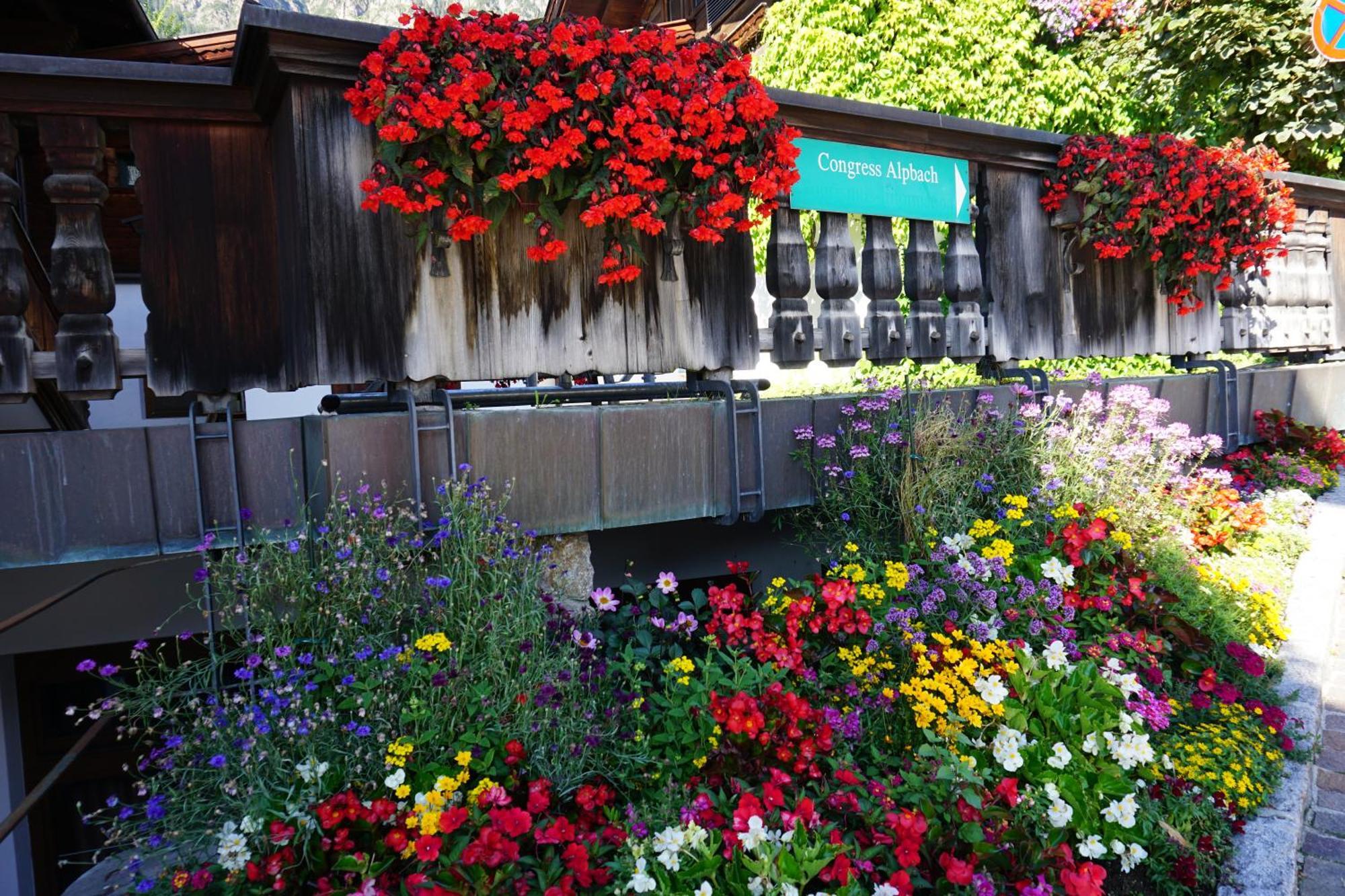 Apartamento Studio Schwarzenauer Alpbach Exterior foto