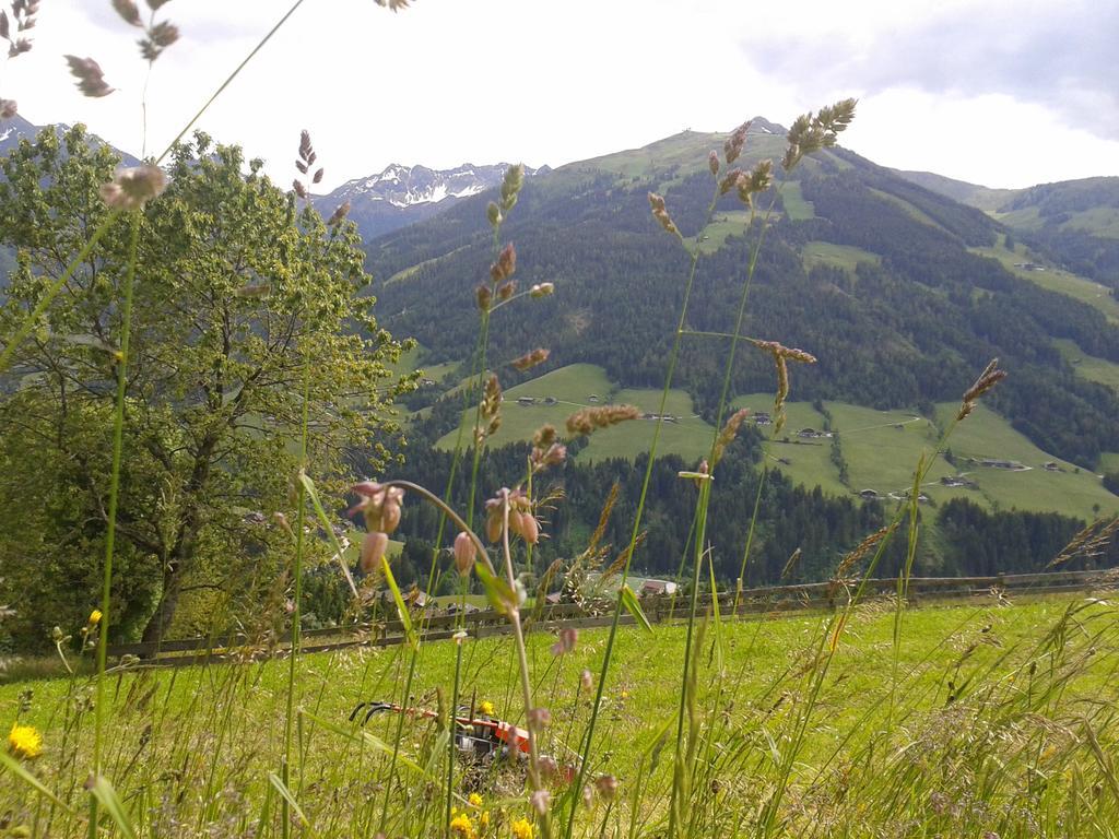 Apartamento Studio Schwarzenauer Alpbach Exterior foto