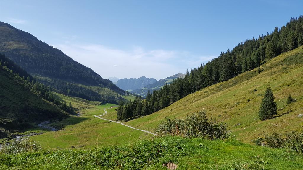 Apartamento Studio Schwarzenauer Alpbach Exterior foto